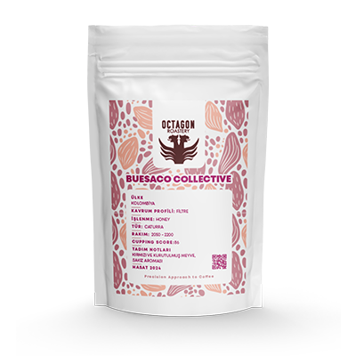 BUESACO COLLECTIVE (filtre)
